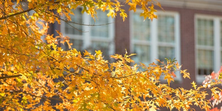 Autumn on campus